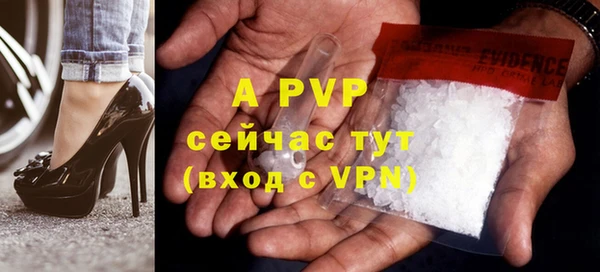 шишки Абаза