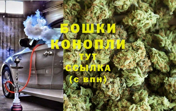 шишки Абаза
