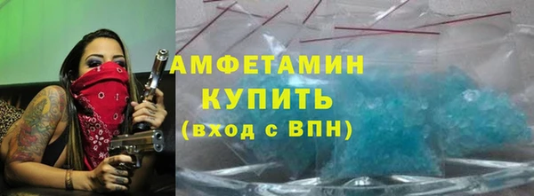 шишки Абаза