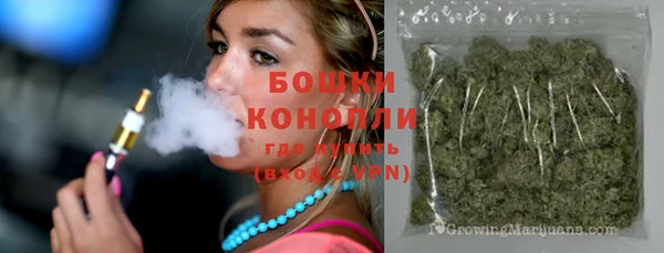 шишки Абаза