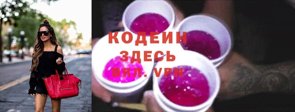 шишки Абаза