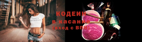 шишки Абаза