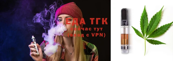 шишки Абаза