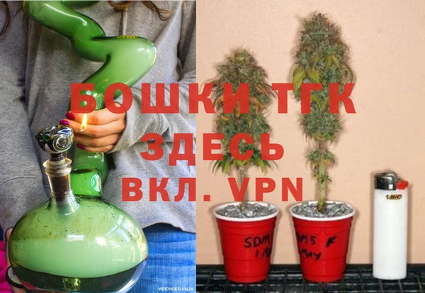 шишки Абаза