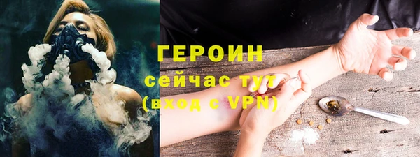 шишки Абаза