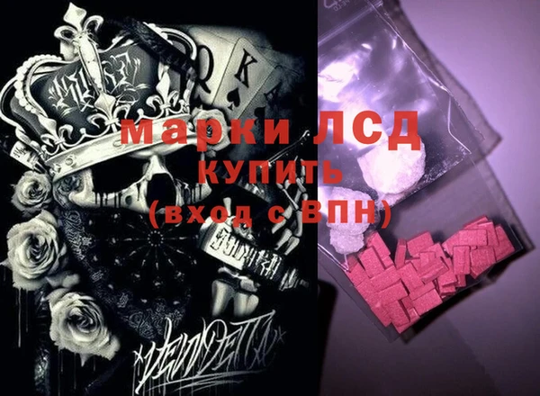 шишки Абаза