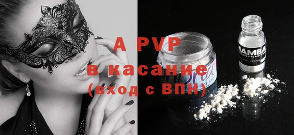 шишки Абаза